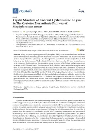 Crystal Structure of Bacterial Cystathionine -Lyase in The