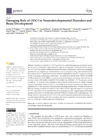 Emerging Role of ODC1 in Neurodevelopmental Disorders and Brain Development