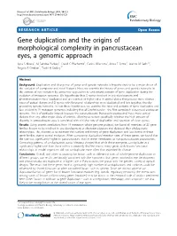 Gene Duplication and the Origins Of