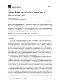 Intimate Relations—Mitochondria and Ageing