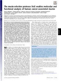 Mucin-Selective Protease Stce Enables Molecular and Functional Analysis of Human Cancer-Associated Mucins
