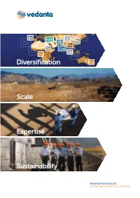 Sustainability Scale Expertise Diversification