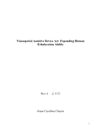 Visuospatial Assistive Device Art: Expanding Human Echolocation Ability