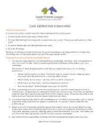 Cats: Destructive Scratching