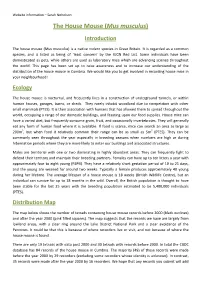 The House Mouse ( Mus Musculus ) Introduction