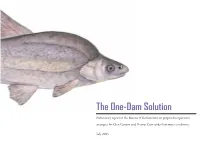 The One-Dam Solution