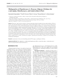 Phylogenetics of Piptatherum Sl (Poaceae: Stipeae)