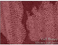 Cell Theory STS.003, Fall 2010 Unit 4: Body A