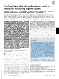 Dinoflagellates with Relic Endosymbiont Nuclei As Models for Elucidating Organellogenesis