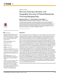 Diversity, Host Specialization, and Geographic Structure of Filarial Nematodes Infecting Malagasy Bats