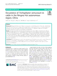 Occurrence of Trichophyton Verrucosum in Cattle in the Ningxia