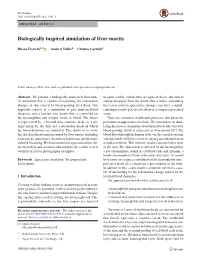 Biologically Inspired Simulation of Livor Mortis