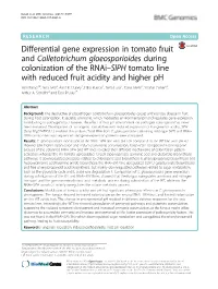 Differential Gene Expression in Tomato Fruit and Colletotrichum