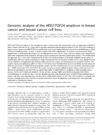 Genomic Analysis of the HER2/TOP2A Amplicon in Breast