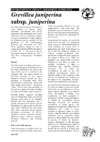 Grevillea Juniperina Subsp. Juniperina Plants Are Generally Killed by Fire and the Following Information Is Provided to Regeneration Is Only from Seed