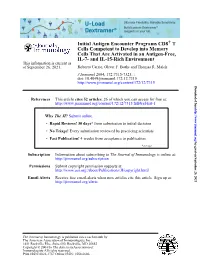 IL-7- and IL-15-Rich Environment Cells That Are Activated in An