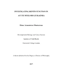 Investigating Reptin Function in Acute Myeloid Leukaemia