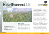 Kauri Konnect18