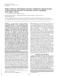 Redox Chains in Chloroplast Envelope Membranes