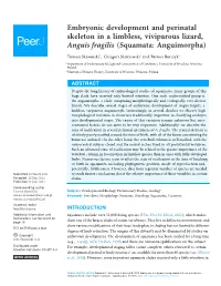 Squamata: Anguimorpha)
