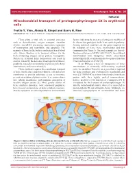 Mitochondrial Transport of Protoporphyrinogen IX in Erythroid Cells