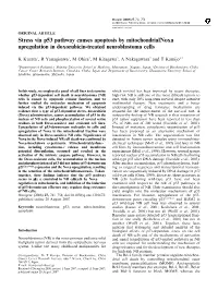 Stress Via P53 Pathway Causes Apoptosis by Mitochondrial Noxa