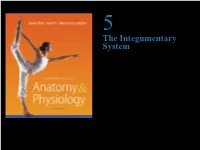 The Integumentary System