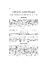 Folding the Regular Nonagon