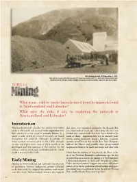 Introduction Early Mining