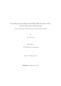 Operating System Support for Run-Time Security with a Trusted Execution Environment