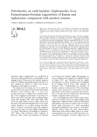 Paleolimulus, an Early Limuline (Xiphosurida), from Pennsylvanian±Permian Lagerstaètten of Kansas and Taphonomic Comparison with Modern Limulus