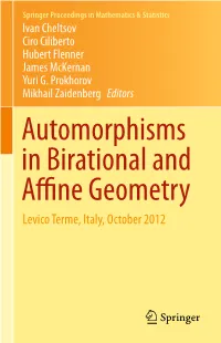 Automorphisms in Birational and Affine Geometry