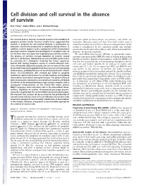 Cell Division and Cell Survival in the Absence of Survivin