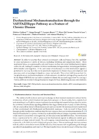 Dysfunctional Mechanotransduction Through the YAP/TAZ/Hippo Pathway As a Feature of Chronic Disease