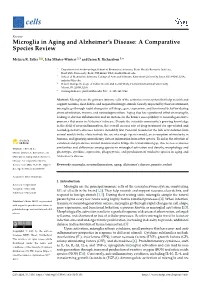 Microglia in Aging and Alzheimer's Disease: a Comparative Species