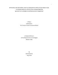 Optimizing the Functional Utility of Afrocentric Intellectual Production