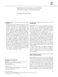 Phytoplankton Responses to Marine Climate Change – an Introduction