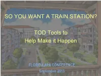 So You Want a Train Station… TOD Tools to Make It