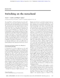 Switching on the Notochord