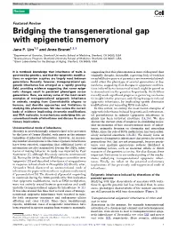 Bridging the Transgenerational Gap with Epigenetic Memory