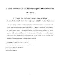 Critical Phenomena at the Antiferromagnetic Phase Transition
