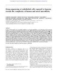 Deep-Sequencing of Endothelial Cells Exposed to Hypoxia Reveals the Complexity of Known and Novel Micrornas