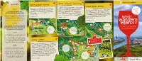 Neustift Am Walde – Sievering Grinzing