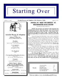 Starting Over – Summer 2019