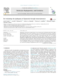 Re-Evaluating the Phylogeny of Sipuncula Through Transcriptomics ⇑ Sarah Lemer A, ,1, Gisele Y