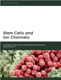 Stem Cells and Ion Channels