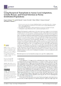 Using Reciprocal Transplants to Assess Local Adaptation, Genetic Rescue, and Sexual Selection in Newly Established Populations