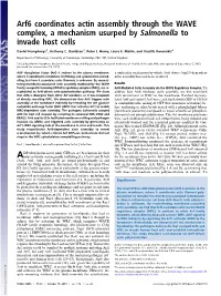 Arf6 Coordinates Actin Assembly Through the WAVE Complex, a Mechanism Usurped by Salmonella to Invade Host Cells