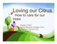 How to Care for Our Trees