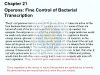 Chapter 21 Operons: Fine Control of Bacterial Transcription